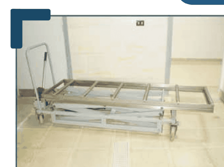 Preservus Mlm 21