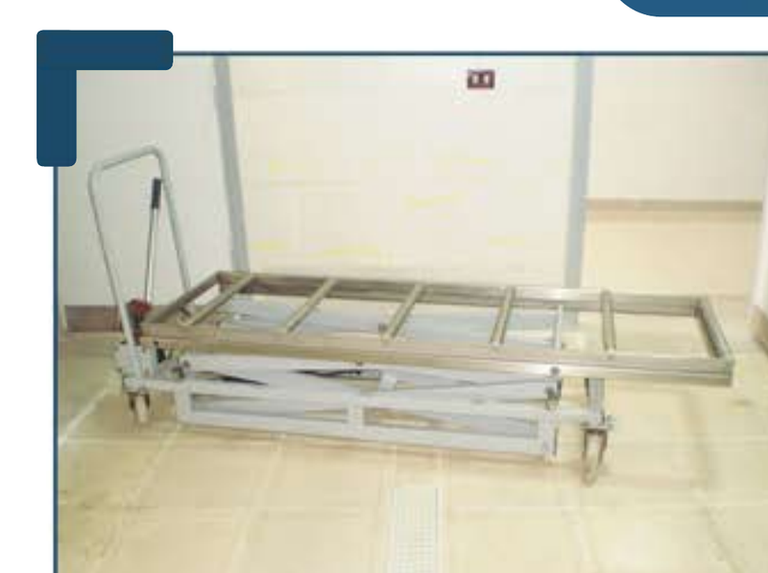 Preservus Mlm 21